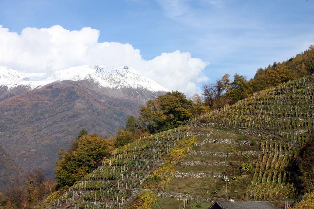 La Madonnina Lägenhet Villa di Tirano Rum bild